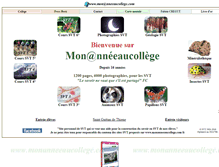 Tablet Screenshot of monanneeaucollege.com
